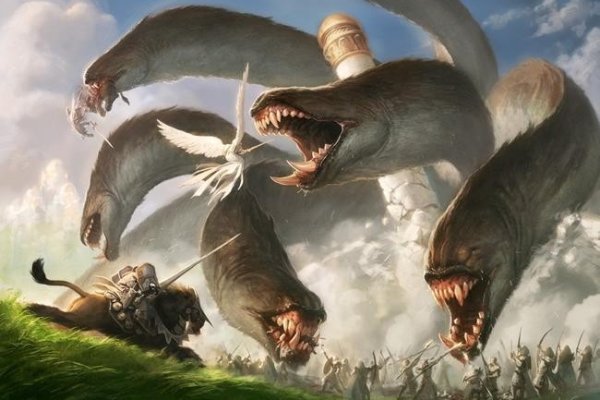 Kraken cc