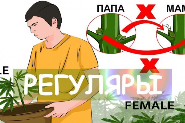 Где найти рабочую ссылку кракен