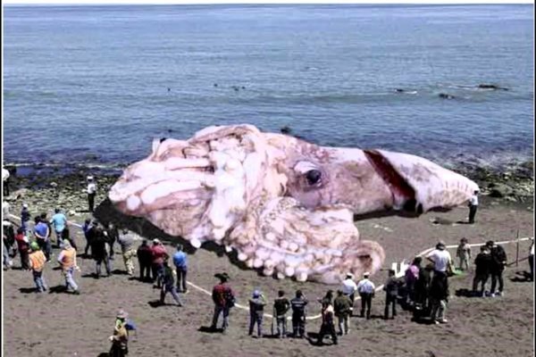 Кракен вход krakens13 at